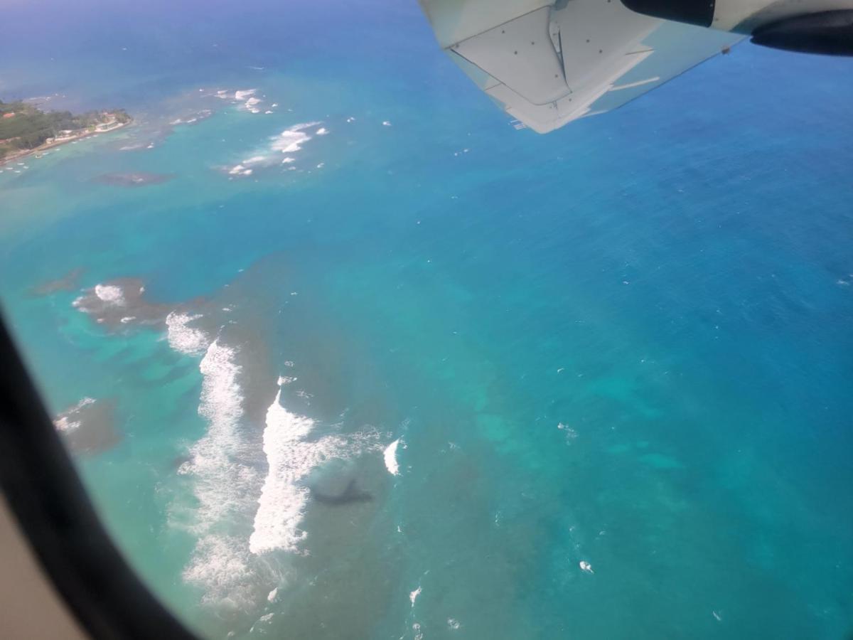 North EndOcean Viewアパートメント エクステリア 写真